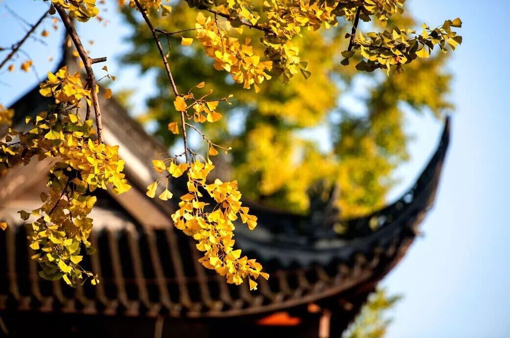 温江文庙